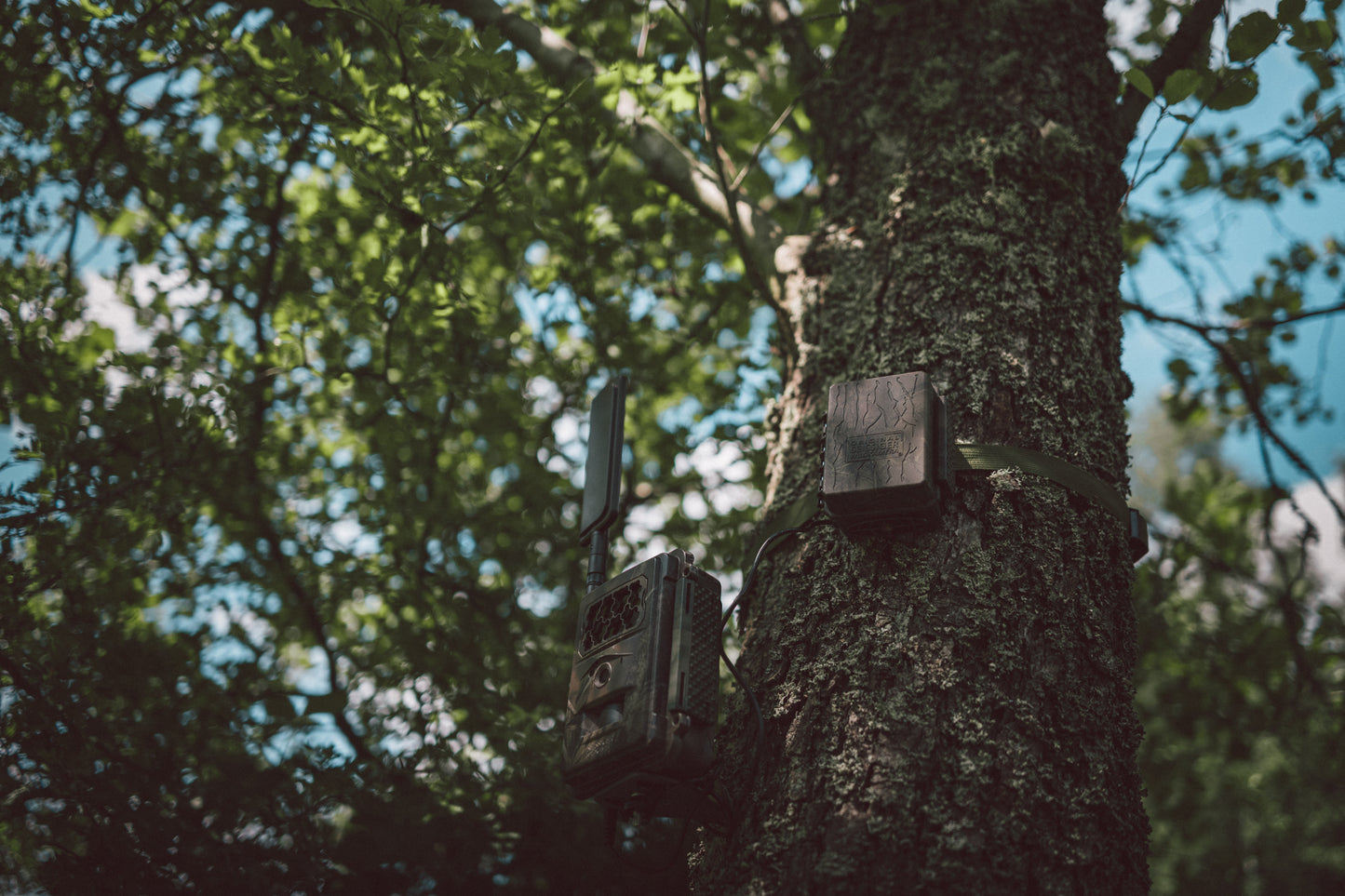 Externer Akkupack für Wildkameras