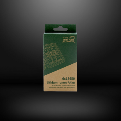 SEISSIGER Lithium-Ionen-Akku 18650 6 Stück