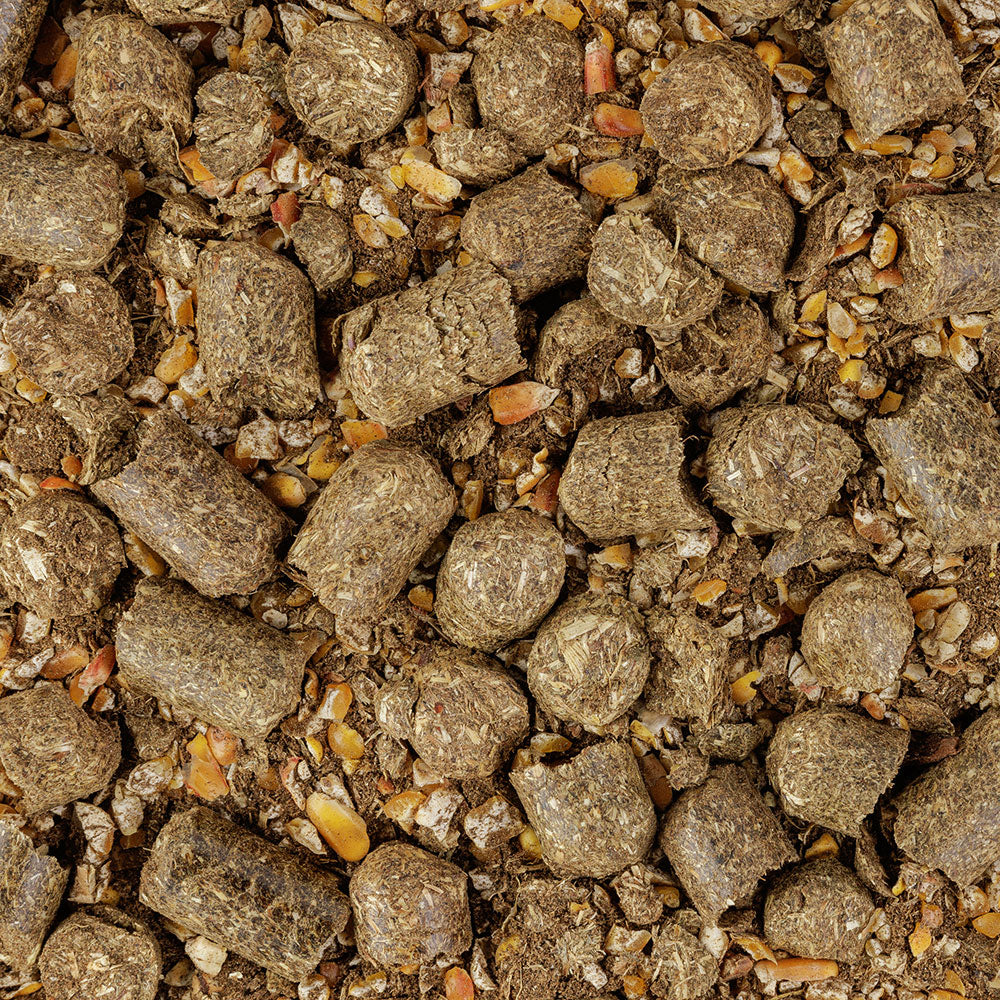 Premium Spezial Schwarzwild Pellets 750g